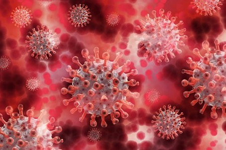 The picture illustrates the round corona viruses with the characteristic spikes