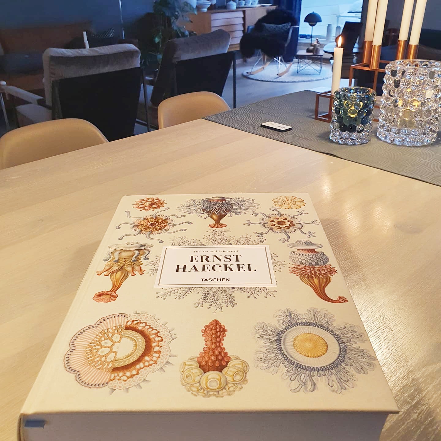 Bilde av bok skrevet av Dr. Ernst Haeckel.