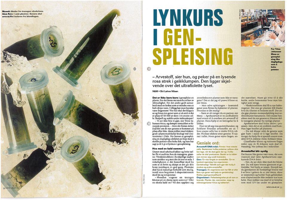 Bilde av bladet Natur & Miljø, nr. 3, 1996.