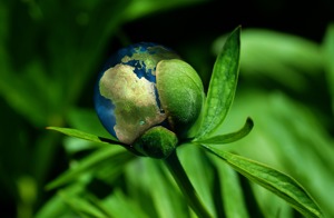 Researcher calls for a new, sustainable normal after the pandemic