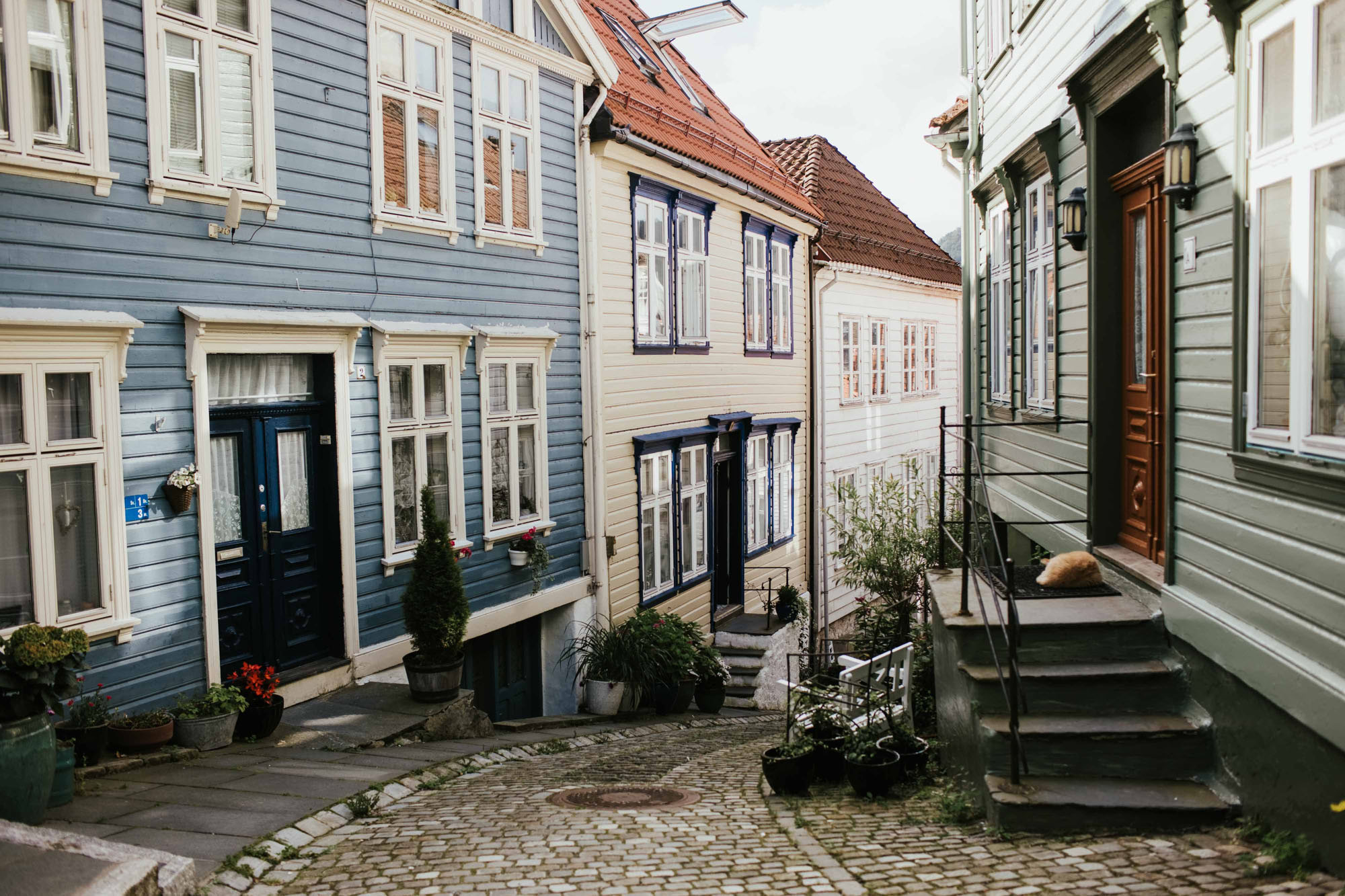 Et koselig smau i Bergen