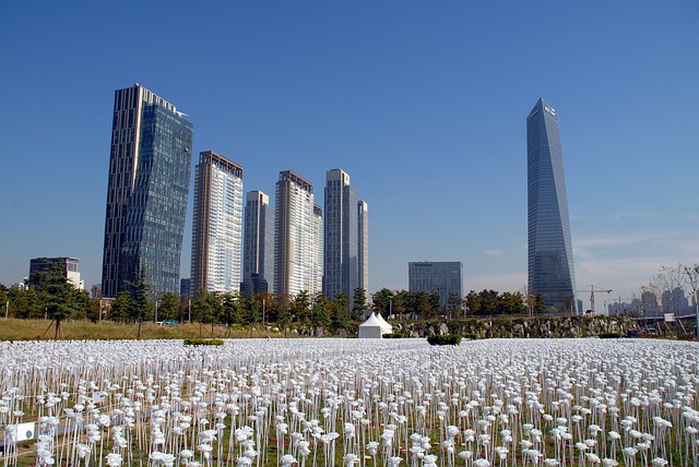 Moderne skyskrapere i bakgrunnen. I forgrunnen er noe som likner kunstige blomster 