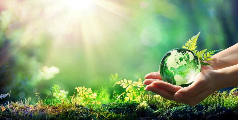hands holding a small earth near grass