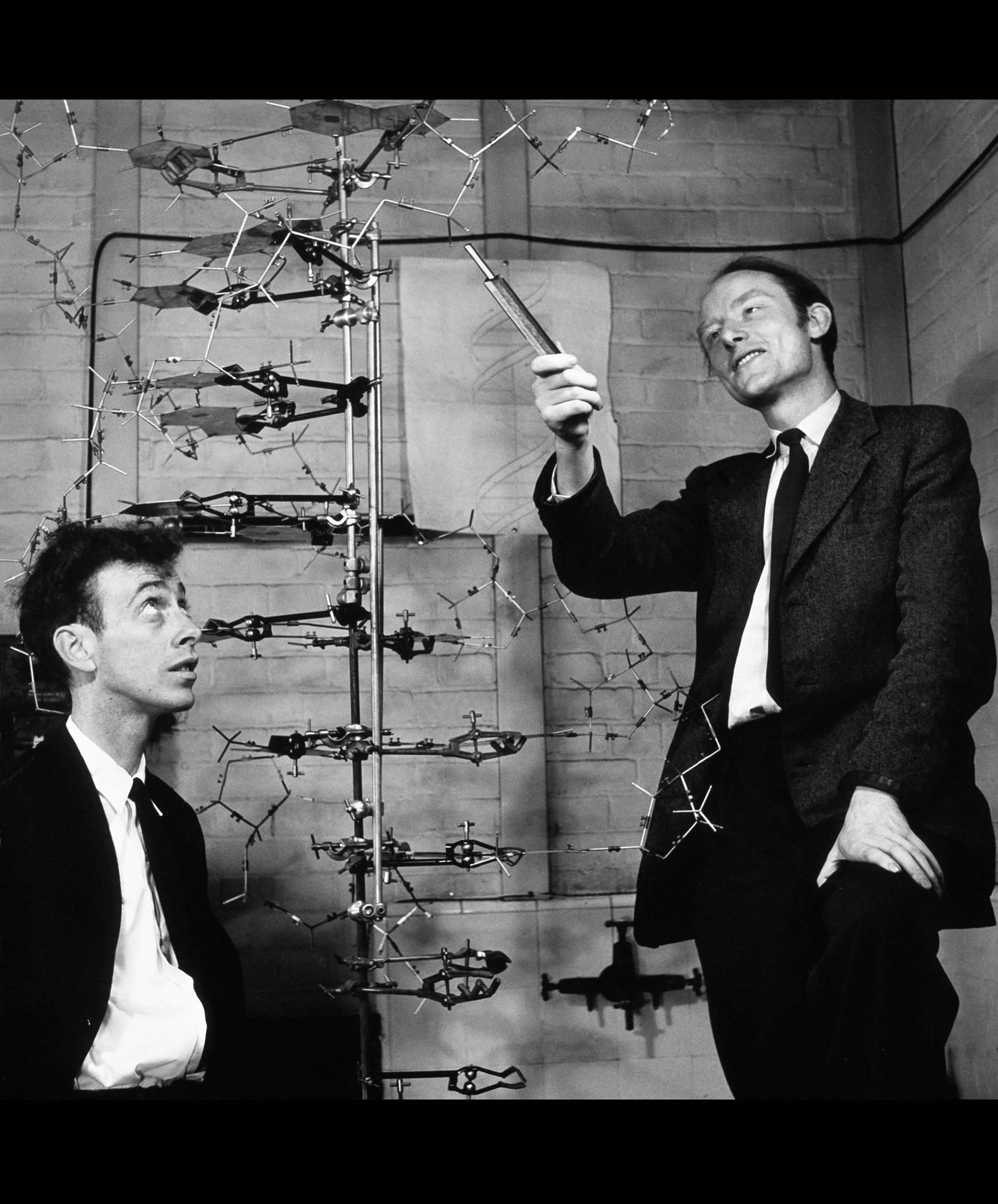 James Watson og Francis Crick med fysisk modell av DNA-molekylet