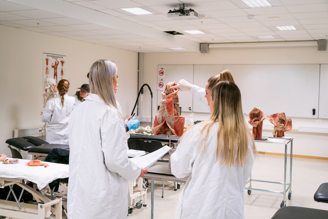 Studenter som jobber i anatomisk læringssenter. De har på seg hvite frakker.