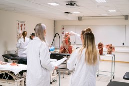 Studenter som jobber i anatomisk læringssenter. De har på seg hvite frakker.