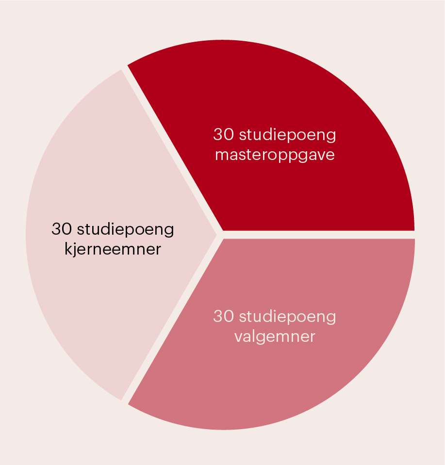 Kakediagram som illustrer oppbygningen til erfaringsbasert master i ledelse. Mastergraden består av totalt 90 studiepoeng: 30 studiepoeng kjerneemner, 30 studiepoeng valgemner og 30 studiepoeng masteroppgave.