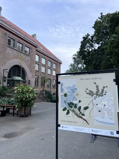 Forskningsplakat utenfor Naturhistorisk museum i Botanisk hage