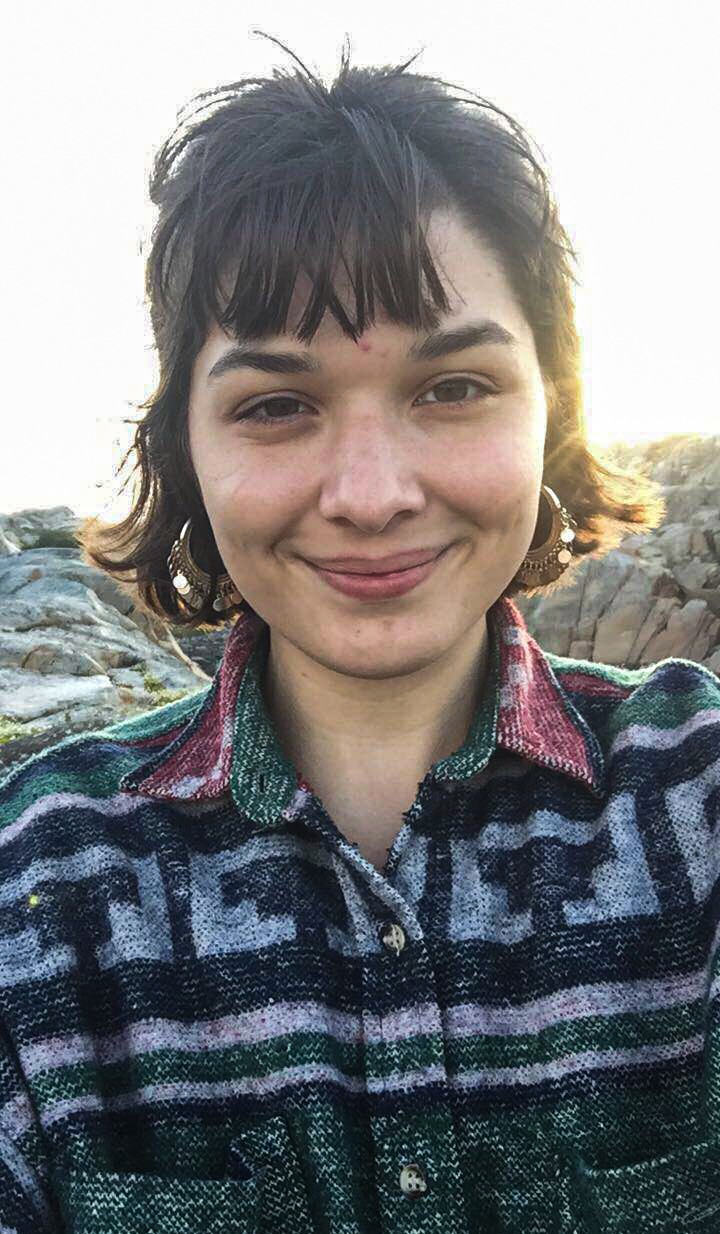 Elvina Vladi Kvisle er student i Art Direction på Høyskolen Kristiania. Hun vant gullmedalje på Gullkalven-konkurransen for brettspillet «Explorers of the Enchanted Forest».