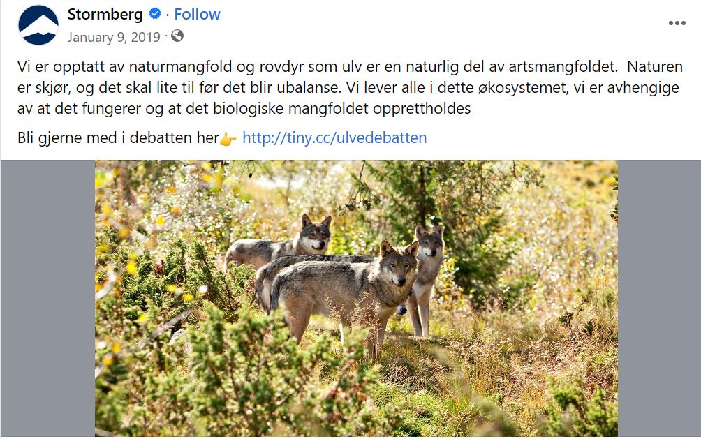 Tre ulver står på grønt gress i skogen