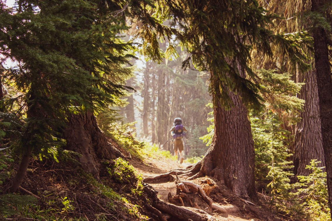 Person som går på sti i skogen
