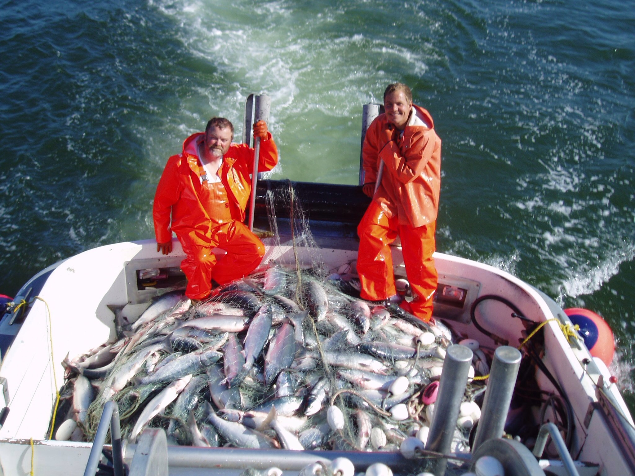 Fangst på fiskebåten.JPG