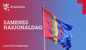 Lihkku beivviin! Gratulerer med dagen!