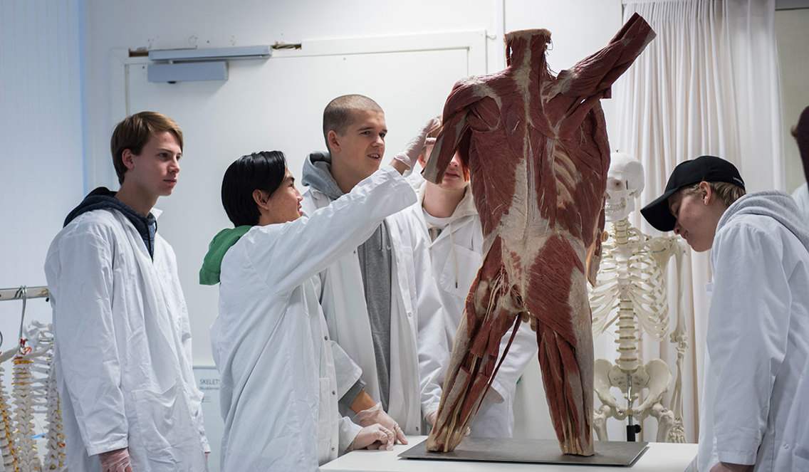 På Anatomisk læringssenter