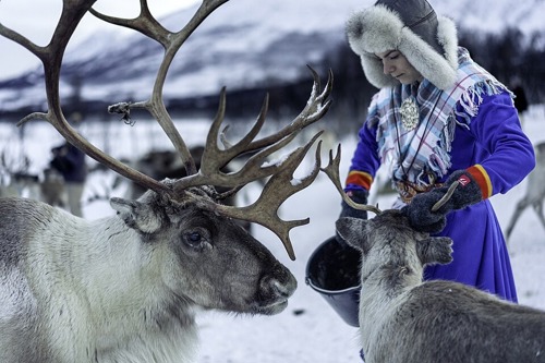 Det er ikke nok å gratulere med dagen. Lær samisk!   