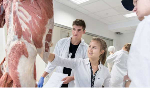 Gruppefoto av studenter som jober med anatomiske preparater.