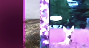 Call for Contributions AR@K24: The Artist, The Ghost, and The Machine