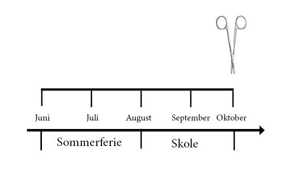 Figuren viser månedene for målingen
