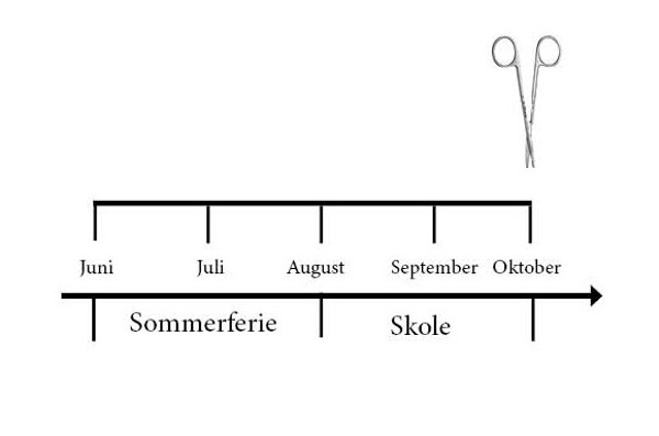 Figuren viser månedene for målingen