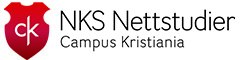 nks_nettstudier_logo.jpg
