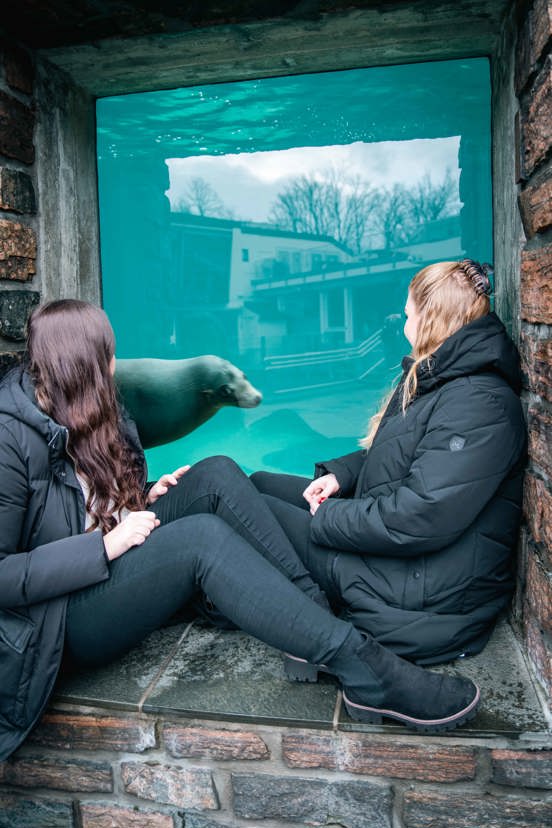 To jenter sitter i en vinduskarm og ser på seler i  akvariet. 