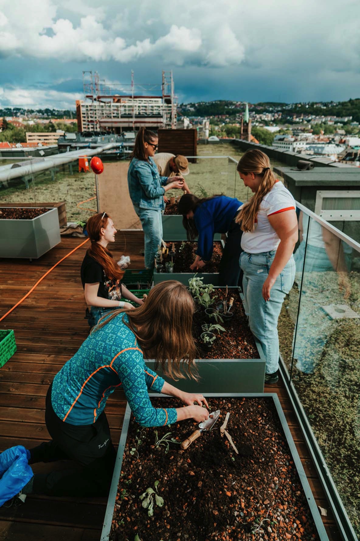 Flere ivrige studenter planter frø og spirer på taket i Urtegata 9
