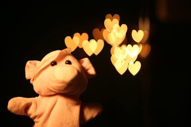 Teddybear with heart shaped lights in the background