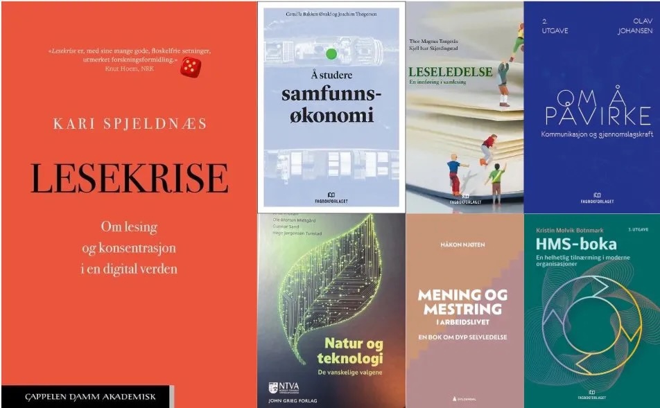 Forsidene til alle bøkene som er nevnt i saken