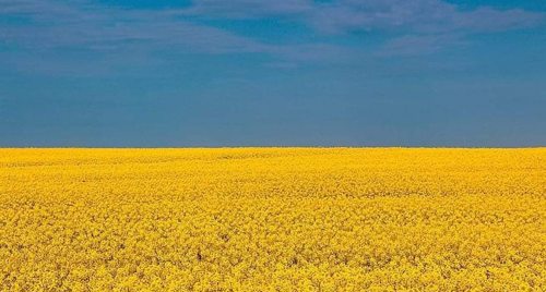 Ukraina og norske universiteter