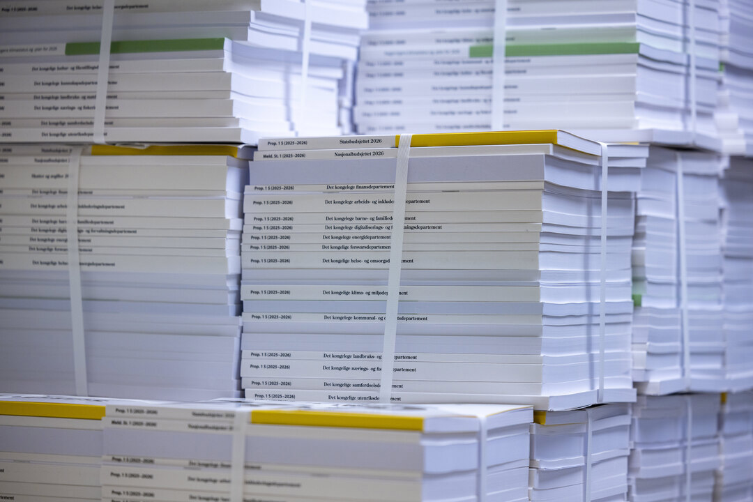 Bilde av statsbudsjettbunker