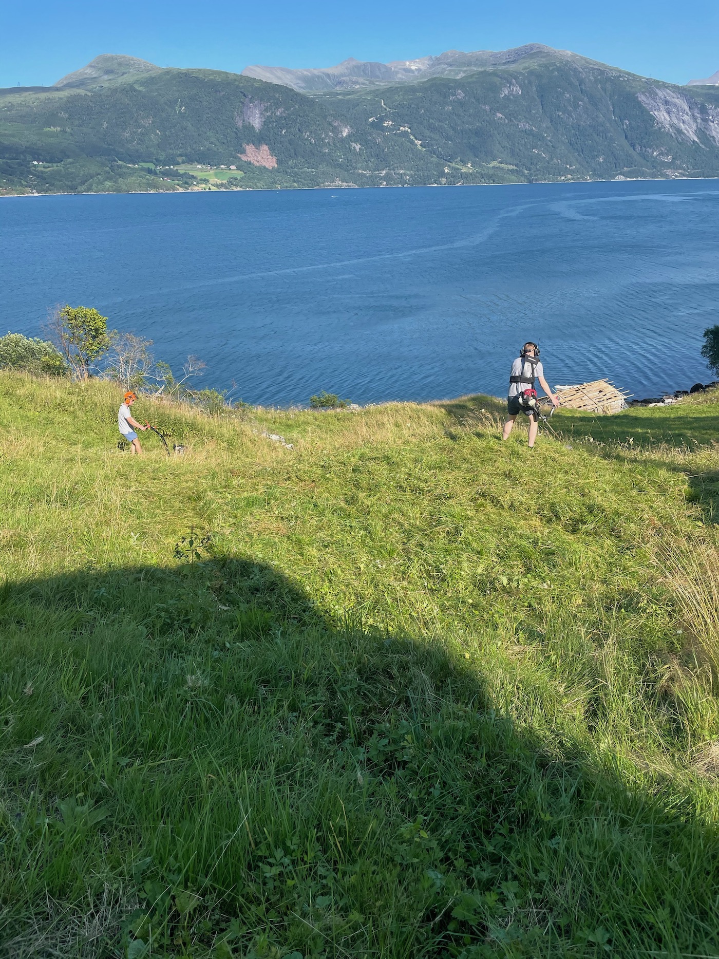 Bildet viser en voksen og et barn som slår gress. I bakgrunnen ser man fjorden og bark det igjen er det fjell.