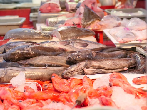 Fisk i fiskedisken