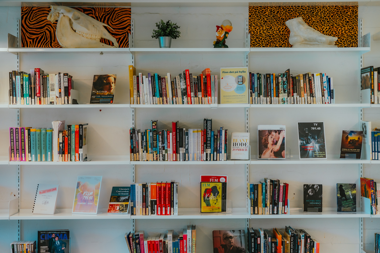 Visning av bøker på Fjerdingen bibliotek